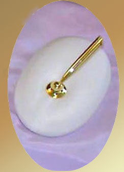 GOLD PEN SET