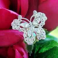 SMALL CRYSTAL  BUTTERFLY