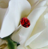 RED CRYSTAL SOLATAIRE