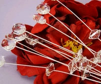 SILVER CRYSTAL JEWELRY PICKS