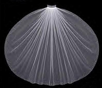 EXQUISITE EDGING ON VEIL