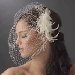 FEATHER FASCINATOR &amp; CAGE VEIL by
WEDDING FACTORY DIRECT