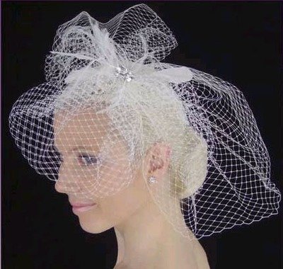 FRENCH NETTING  BIRD CAGE  BY
LC BRIDAL