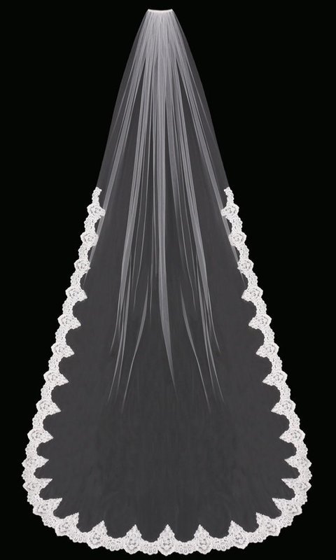 Single Tier Cathedral Veil with lace edge