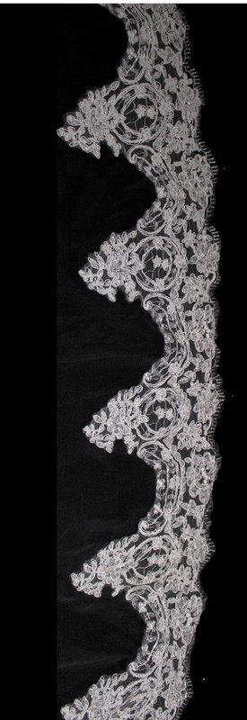 Elegant French Lace Cathedral Veil