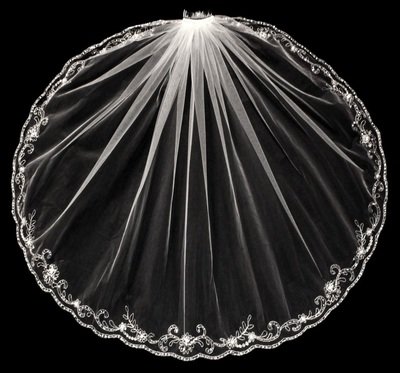 Exquisite Veil/Blusher