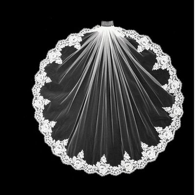 Alenicon Lace Veil