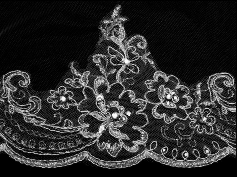 Exquisite Silver Thread Alencon Veil