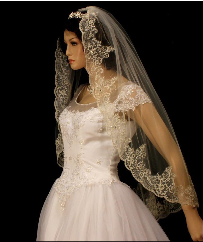 Exquisite Silver Thread Alencon Veil