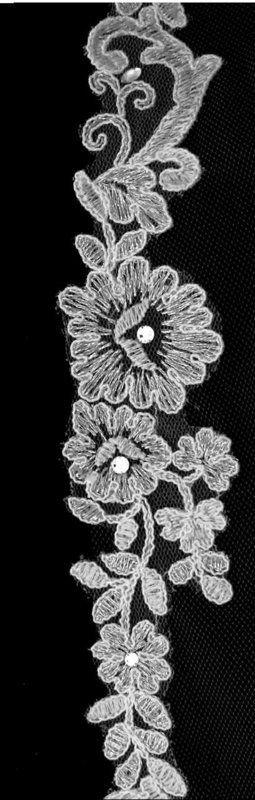 Extravagant French Lace Veil
