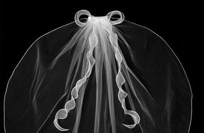 Delicate Veil with Ribbons