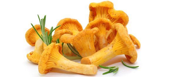 Funghi freschi GALLINELLI al kg
