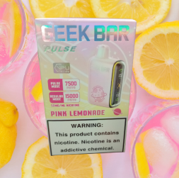 GEEK BAR PULSE