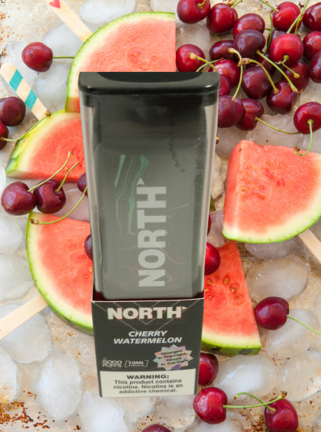NORTH DISPOSABLES