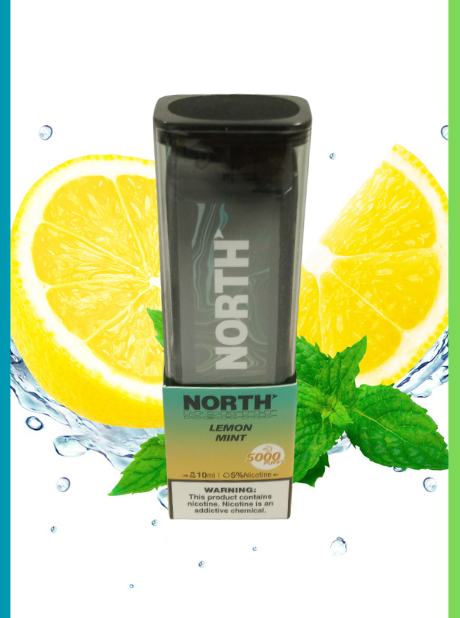 NORTH DISPOSABLES