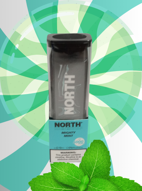 NORTH DISPOSABLES