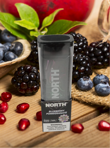 NORTH DISPOSABLES