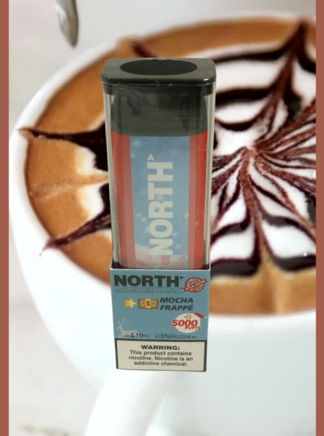 NORTH DISPOSABLES