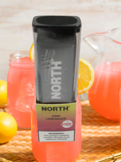 NORTH DISPOSABLES
