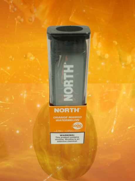 NORTH DISPOSABLES