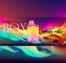 GEEK BAR 1 BOX (QTY 5)