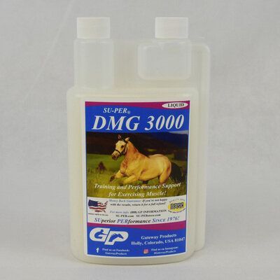 SU-PER DMG 3000
