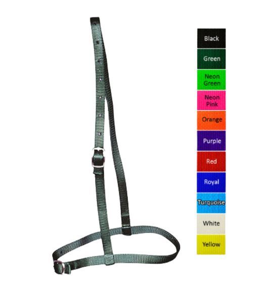 Caveson Race Halter Cover