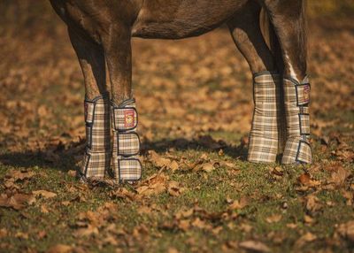 Boots & Bandages