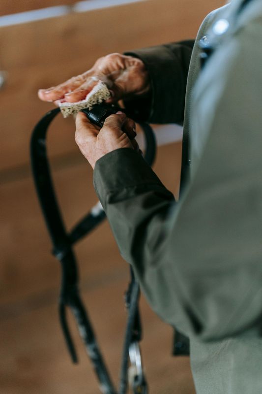 Halters & Lead Ropes