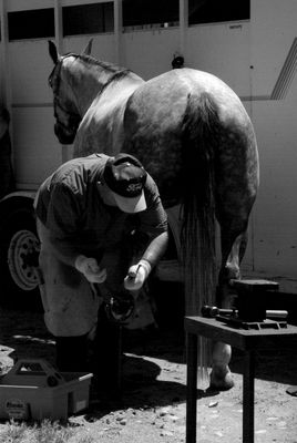 Hoof Conditioners