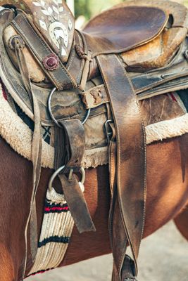 Girths & Cinches