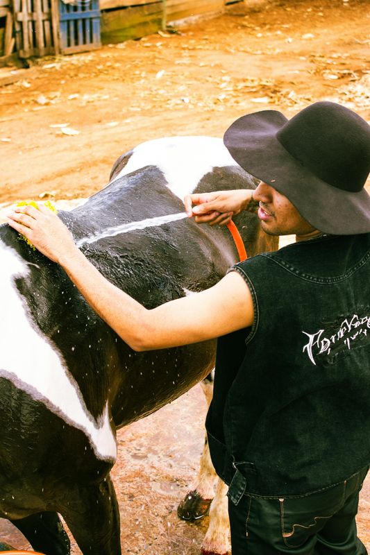 Martingales & Breastplates