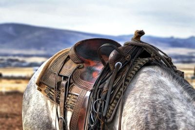 Saddle Pads