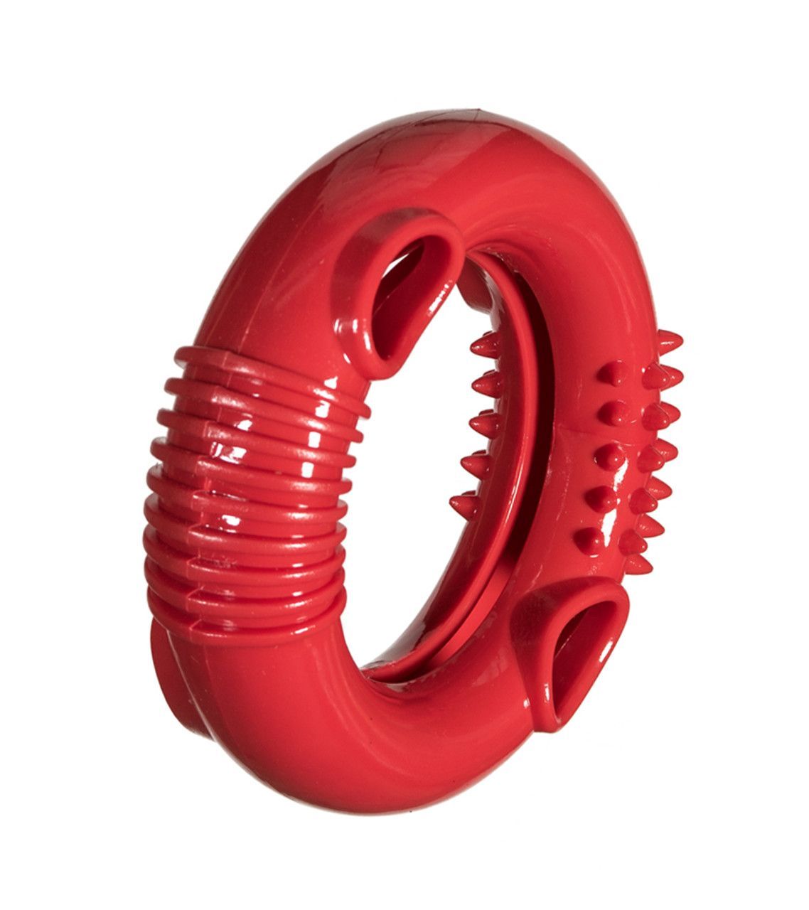 Chase 'n Chomp™ Foraging Ring