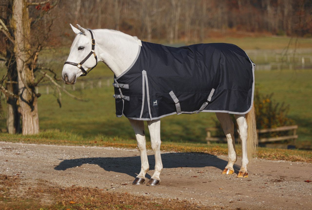 Atlas Turnout Blanket 600 Denier with 300gm Lining Atlas Turnout Blanket 600 Denier with 300gm Lining