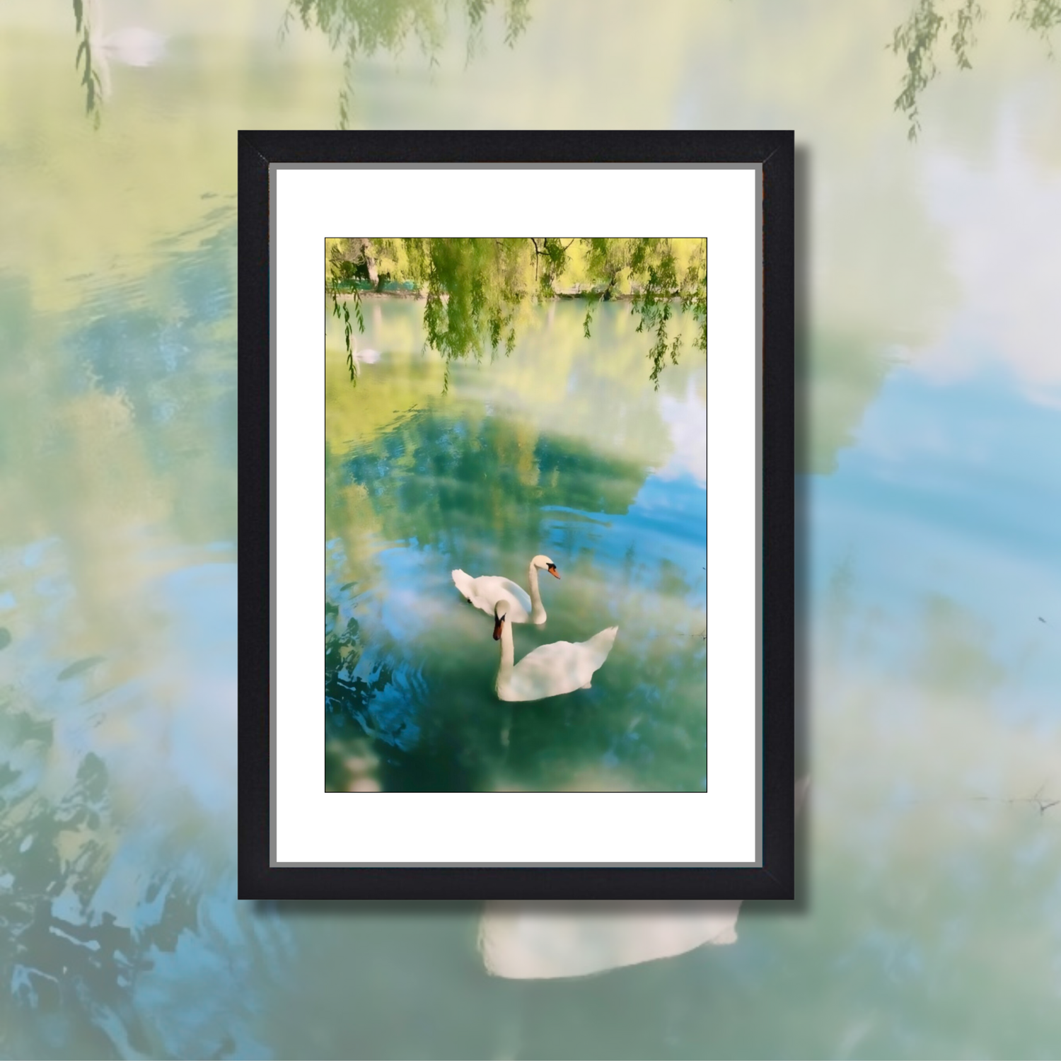 *SWAN LOVE* 