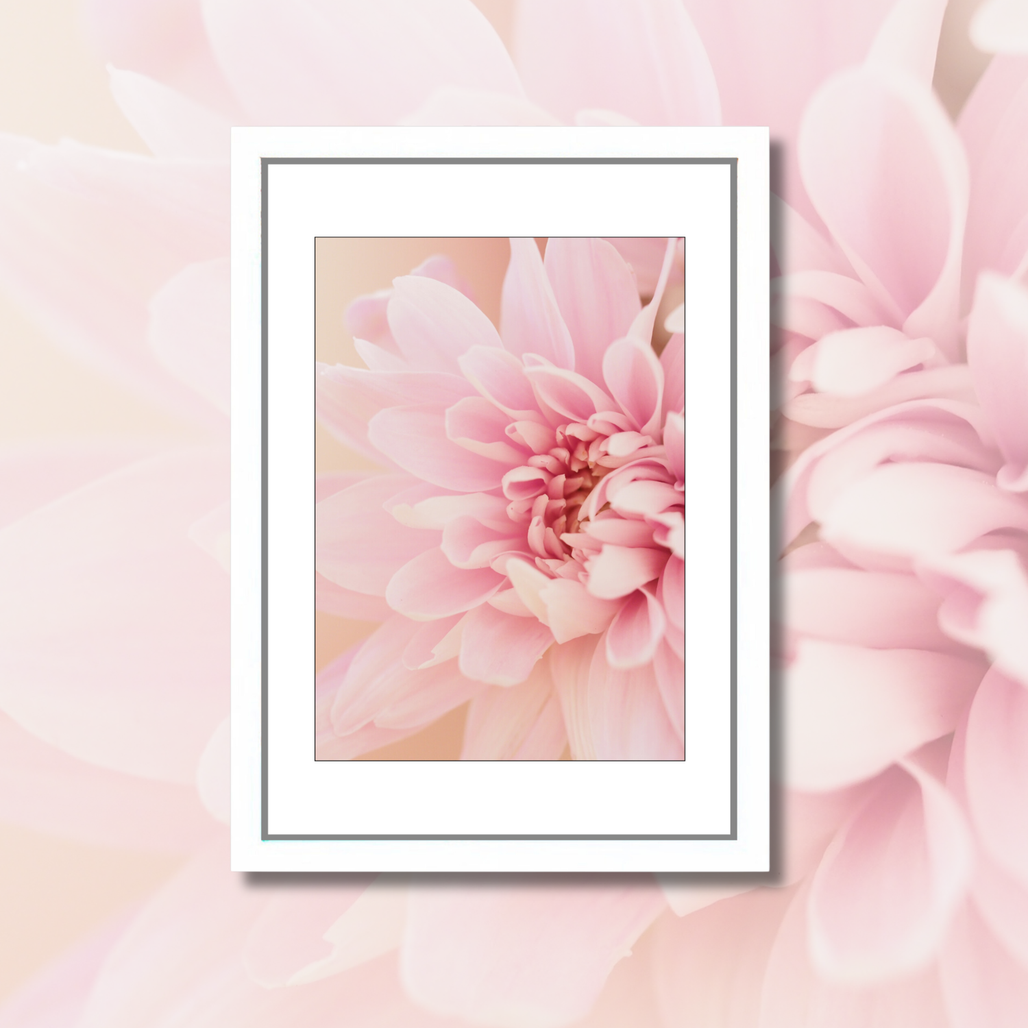 *PINK BLOOM* 