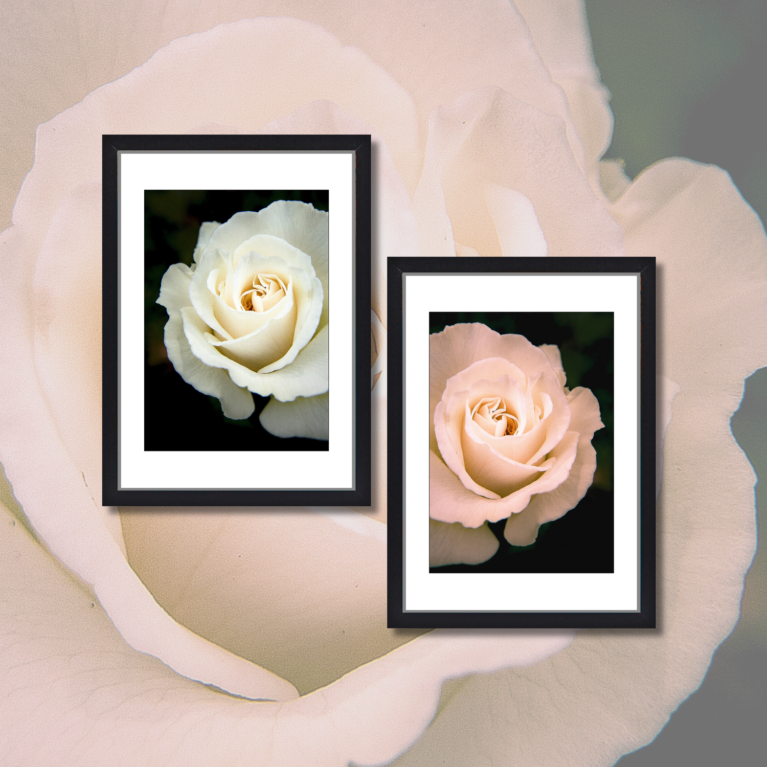 *TWIN ROSES* No.2
