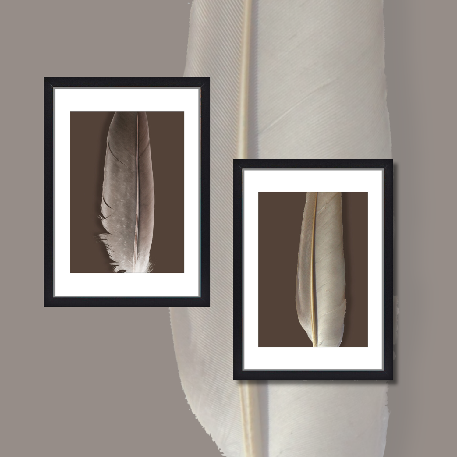 *BIRDS OF A FEATHER* Wow Art : 
2 Prints or Framed Prints