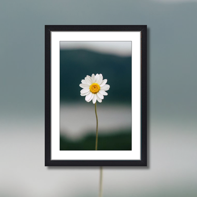 *ONE DAISY* 