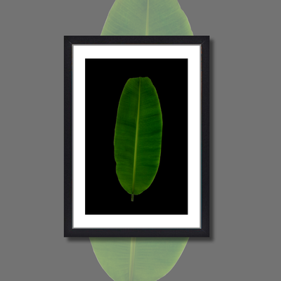 Greenlife
