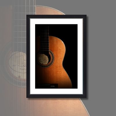 *THE GUITAR* 
