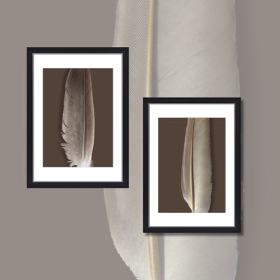 *BIRDS OF A FEATHER* No.2