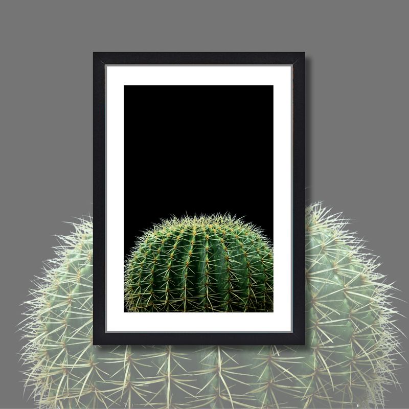 *CACTUS #3*