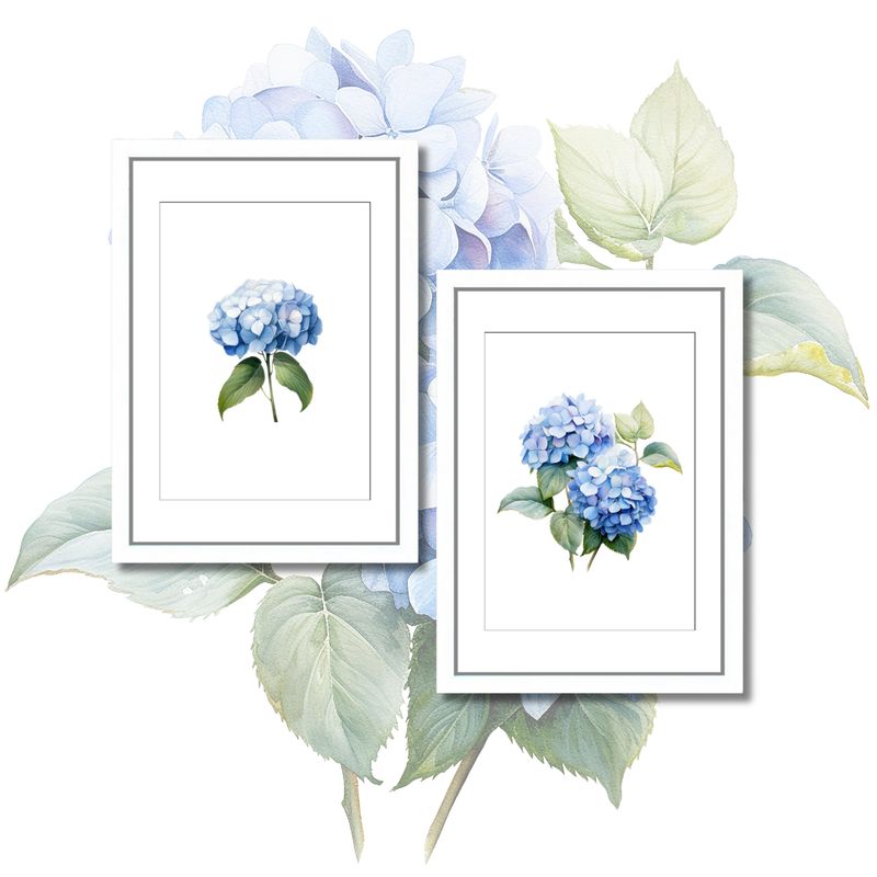 *BLUE HYDRANGEAS* No.1