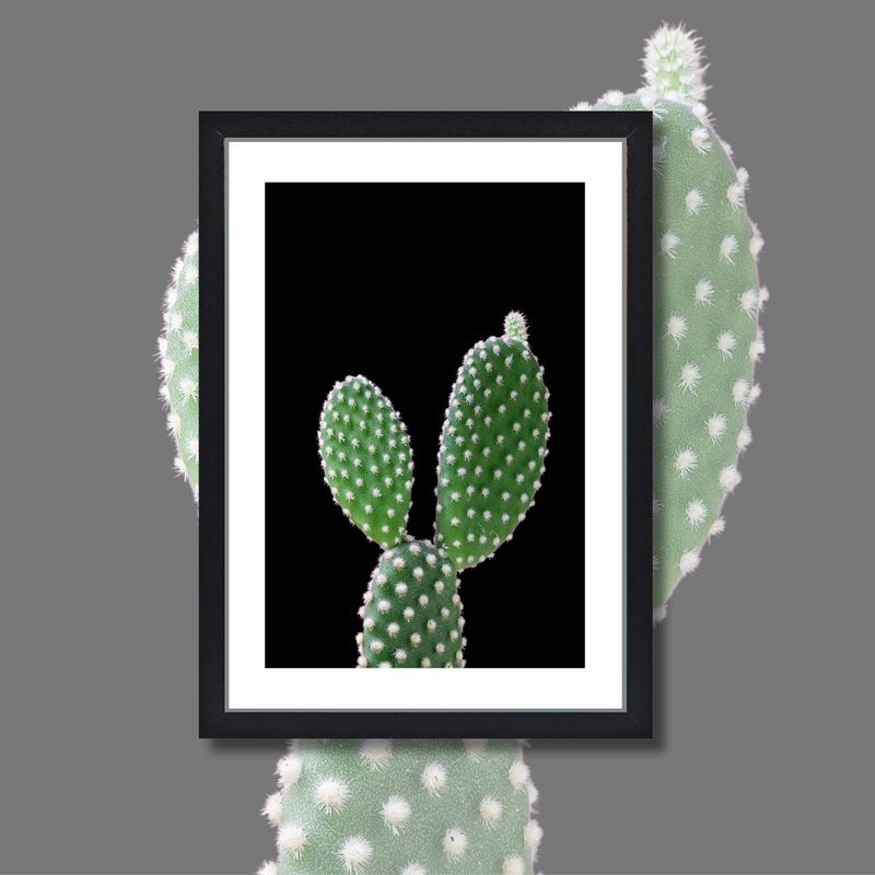 *CACTUS #2*