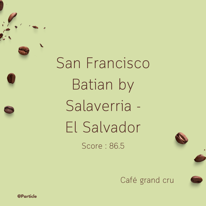 Café de spécialité San Francisco Batian by Salaverria - El Salvador | particle coffee
