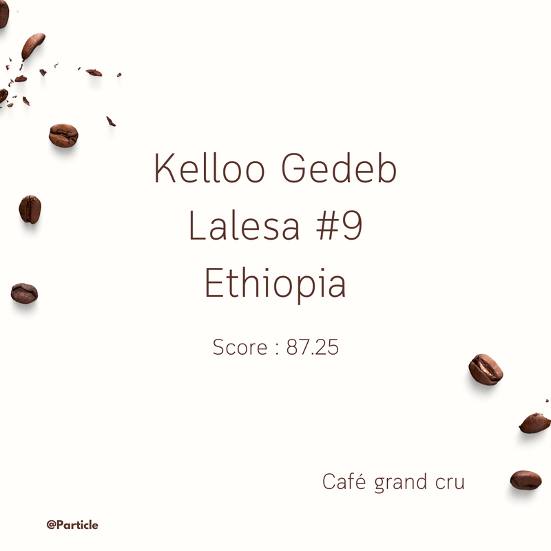 Café de spécialité Kelloo Gedeb Lalesa #9 - Ethiopia | particle coffee