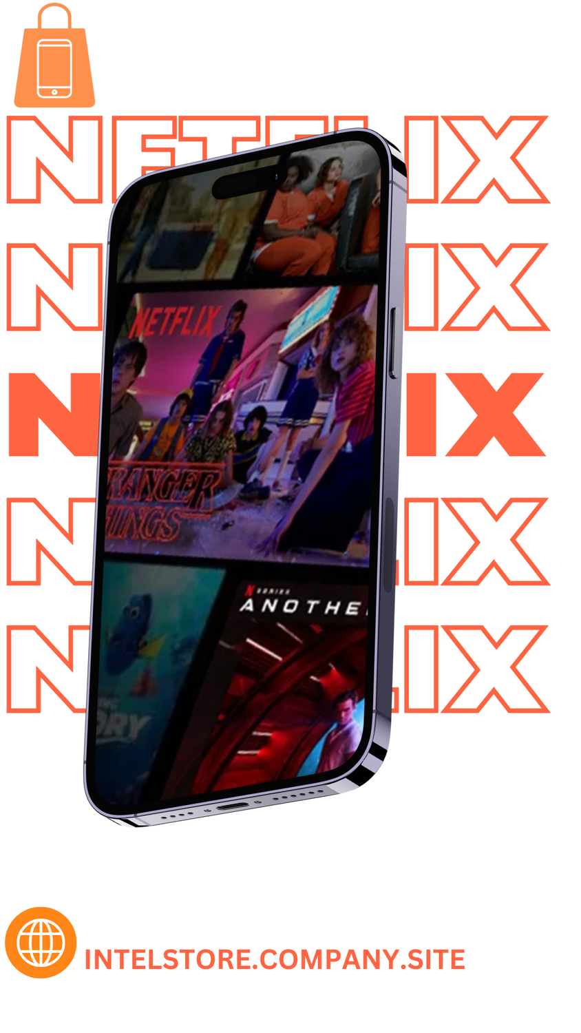 Netflix 1 year