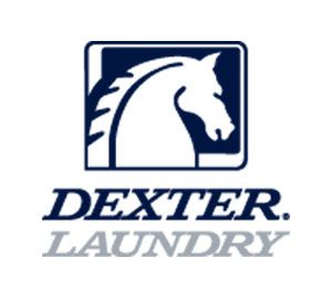 9848-147-001P Dexter Dryer Cylinder